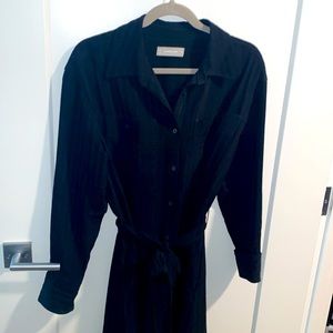 Everlane shirt dress